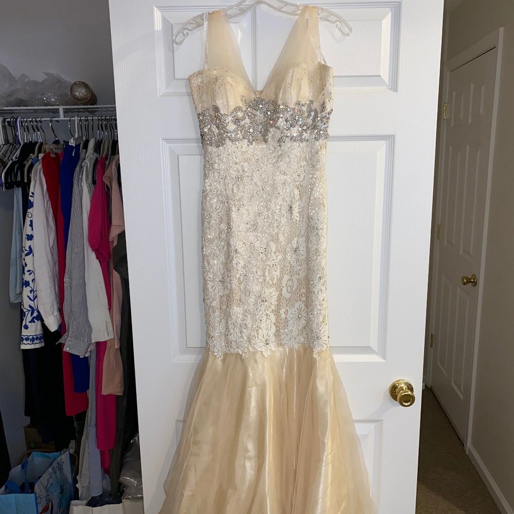 JOVANI lace embroidered, mesh strap beading detail- SIZE 2 Mermaid Gown